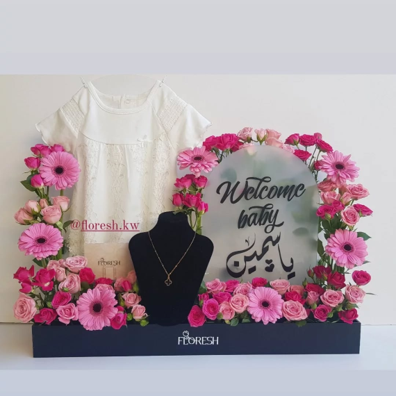 ترحيب الأميرة 3